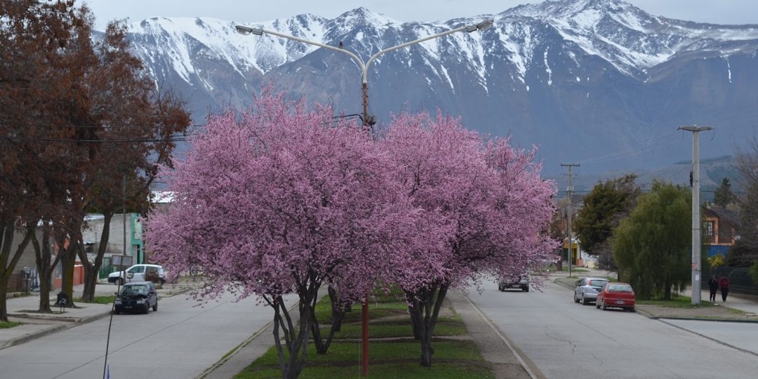 Nuevos valores de energía eléctrica