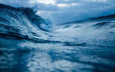 Valoremos el Agua: Día Mundial del Agua 2021