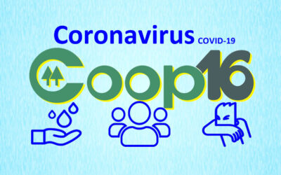 CONTINGENCIA COVID 19